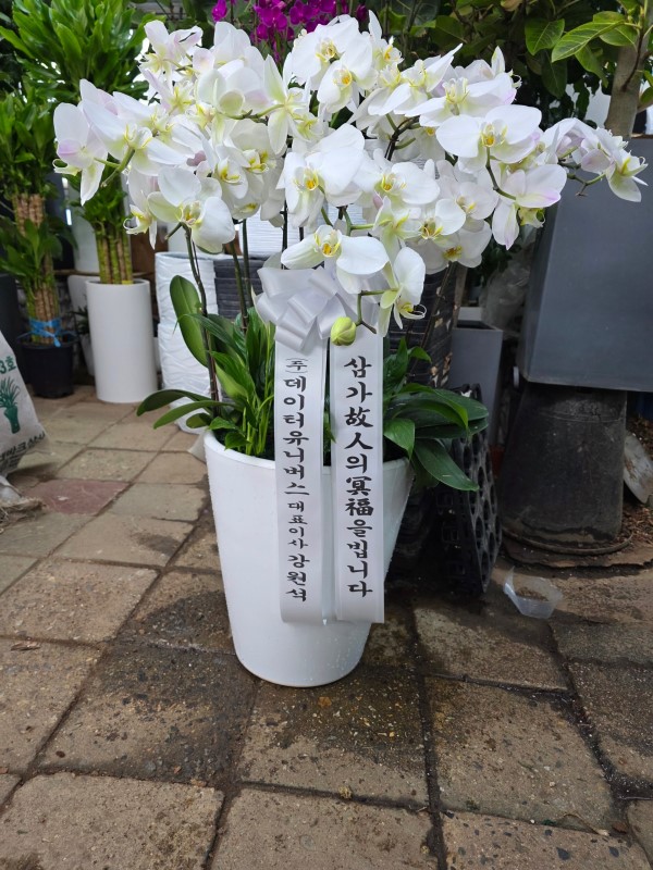 ������ ���ȣ��(2016.NO 1)