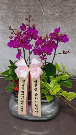 []Ȱ ȭϰ - õȫ ()(ȭ⺯) ɹ  