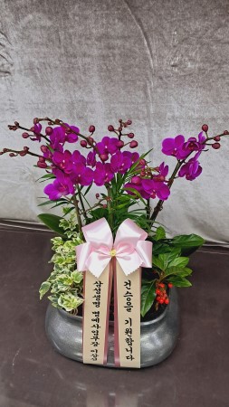 []Ȱ ȭϰ - õȫ ()(ȭ⺯) ɹ  