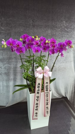 Office&Nature - ���� �Ƹ��ٿ� ��ũȣ���� �ɹ�� ���� 