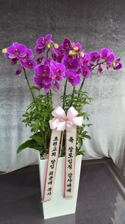 Office&Nature - ���� �Ƹ��ٿ� ��ũȣ���� �ɹ�� ���� 
