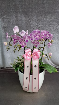 �޽��� �Ǵ� ��Ȱ���� - Smile moon_��Ʋ�� (��) (ȭ�⺯��) �ɹ�� ���� 