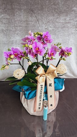[]   ڱ  -   ũȣ () ɹ  