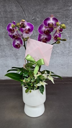 [����]�ູ�� ���ϴ� ȣ���� ���� ���(��)(ȭ�⺯��) �ɹ�� ���� 