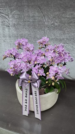 Office & Nature ������ ���� ��ũ �̴�ȣ���� �ɹ�� ���� 