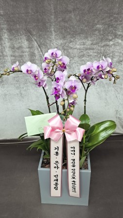 ������ ���� ���� -����ũȣ�� (��) �ɹ�� ���� 