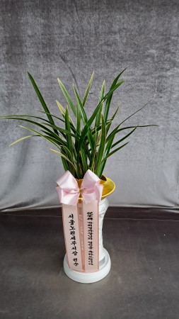 ������ ������ ���� ����� - ���� ���̰� �ִ� Ȳ��� �ɹ�� ���� 