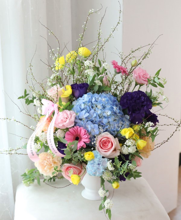 [����/�����ǹ��]Spring loves �ູ����