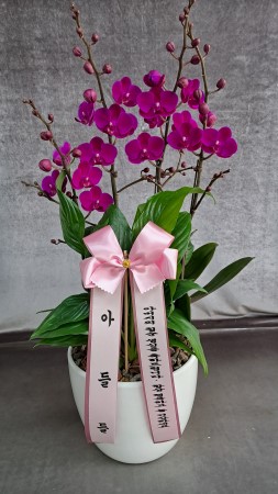 [����]������ ������ ��� - ��õȫ (��) (ȭ�⺯��) �ɹ�� ���� 