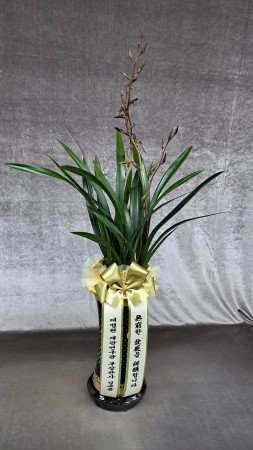 �λ��̵� ��õ ���� ( �����к� ) �ɹ�� ���� 