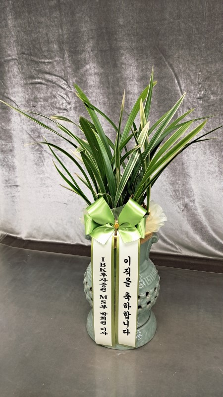 [����]���� �����- Ȳ��� �ɹ�� ���� 