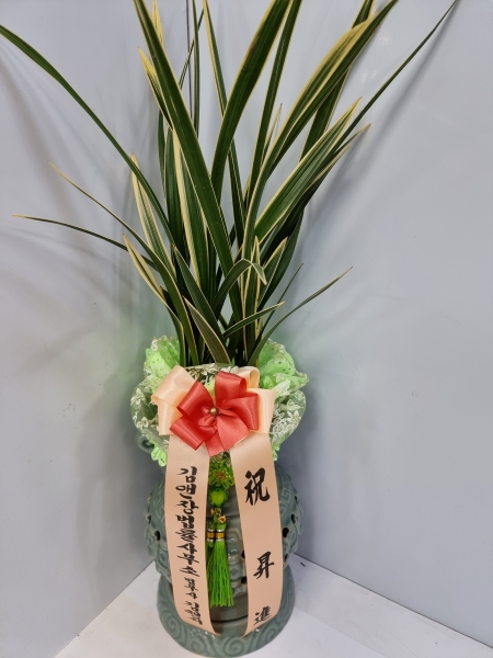승진을 축하합니다 금황 꽃배달 꽃집 