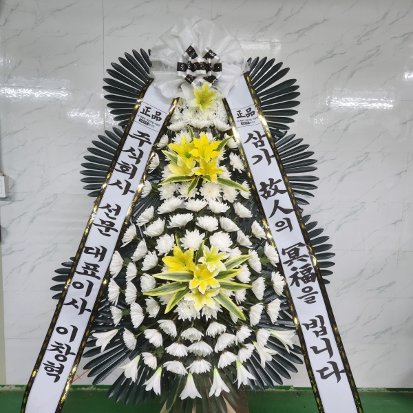 ô  ǰ! - ö119 3ܱ⺻ȭȯ  (Ʈ) ɹ  