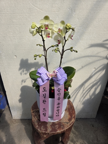 [����]�����ϴ� ���� ��� - ȣ���� ���� (��) (ȭ�⺯��) �ɹ�� ���� 