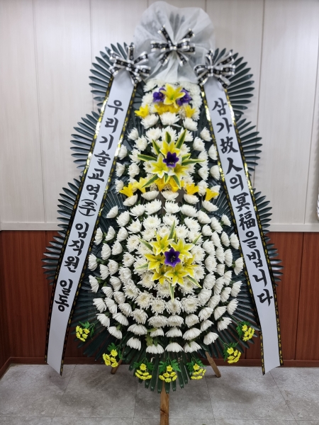 ����3��ȭȯ(Ư����) �ɹ�� ���� 