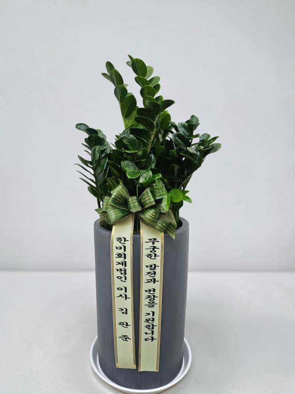 ���� ����ȭ�� - �������� �ɹ�� ���� 