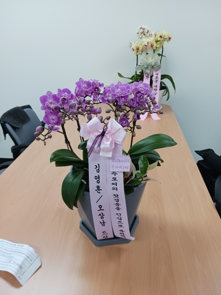 ������ ���� ���� -����ũȣ�� (��) �ɹ�� ���� 