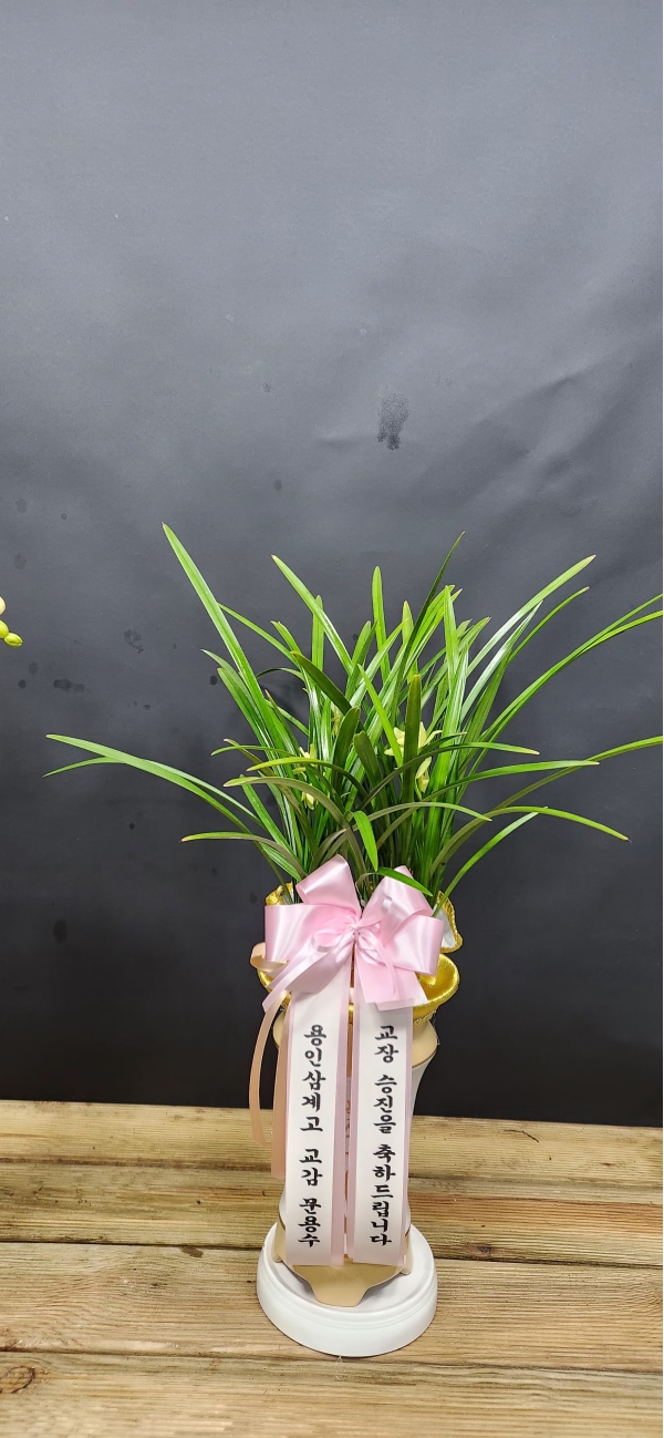 [�λ��̵� ��õ] �Ͼ���� �Ǿ�� ���� ����� �ɹ�� ���� 