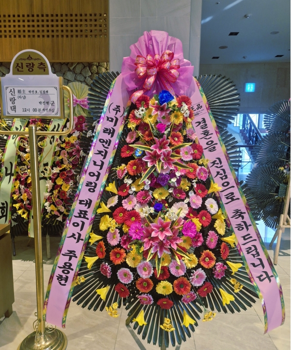 ����3�ܱ⺻ȭȯ �ɹ�� ���� 