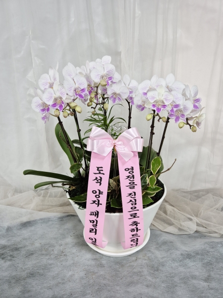 ������ ������ ����� �Բ� ������, ��� ȣ���� �ɹ�� ���� 