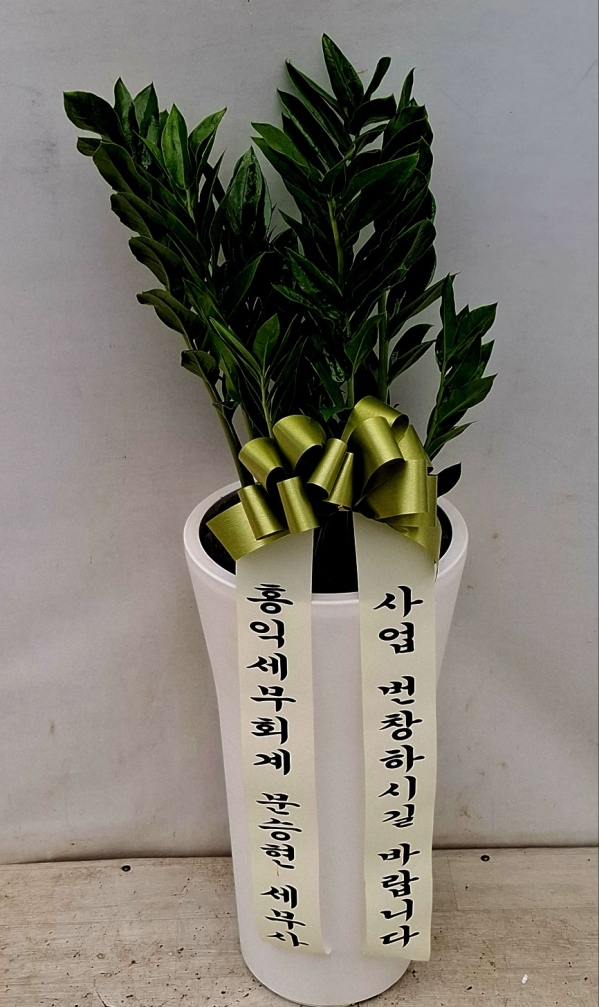 ��ø���! ������ ���漮 �ް� ���ǰԿ� - ������ �ɹ�� ���� 