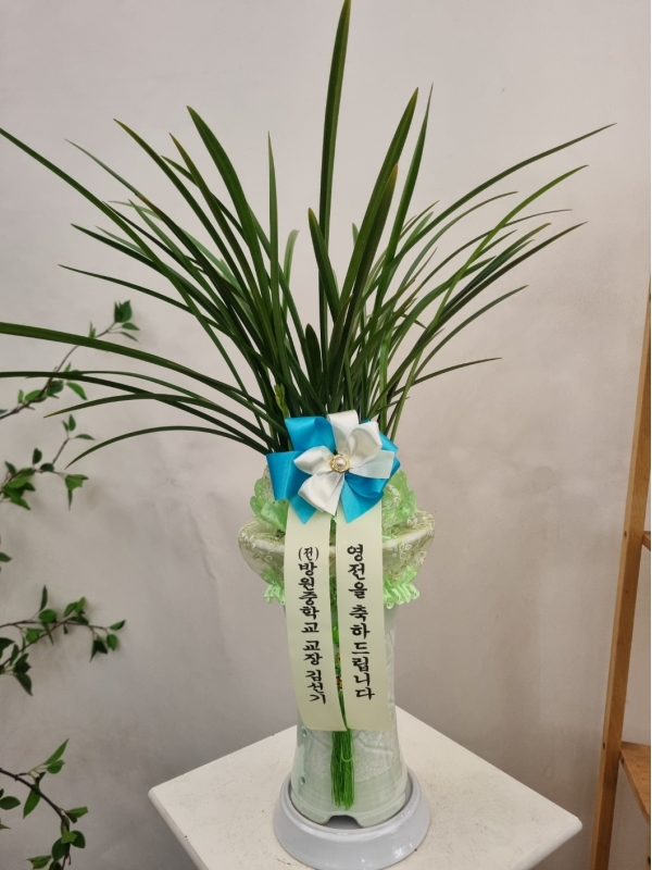 [�λ��̵� ��õ] �Ͼ���� �Ǿ�� ���� ����� �ɹ�� ���� 