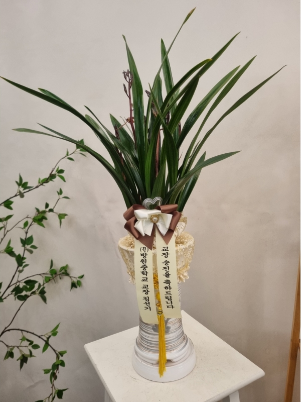 [�λ��̵� ��õ] �Ͼ���� �Ǿ�� ���� ����� �ɹ�� ���� 