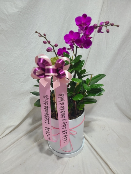 ������ ������ ���, ������ ������ ���� ���� ��ũ ȣ���� ��õȫ �ɹ�� ���� 