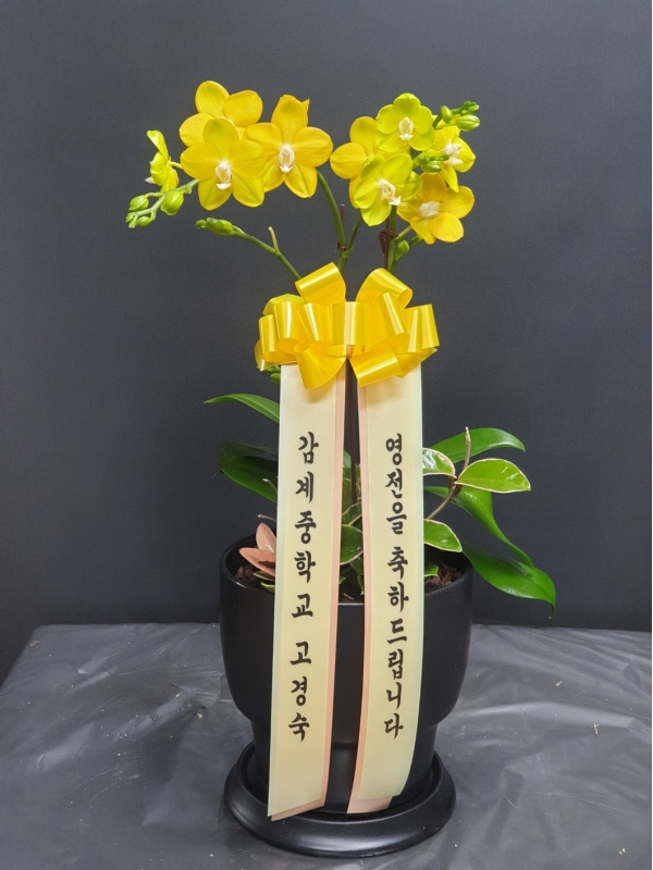 �Ƹ��ٿ��� �ִ� ����-��� �ɹ�� ���� 