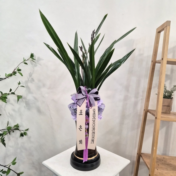 �Ƹ��ٿ��� �ִ� ���� - ö��ҽ� (ȭ��ǰ��) �ɹ�� ���� 