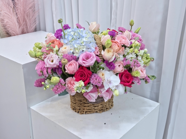 ��! �翡���� - �� ���� ��� �ɹ�� ���� 