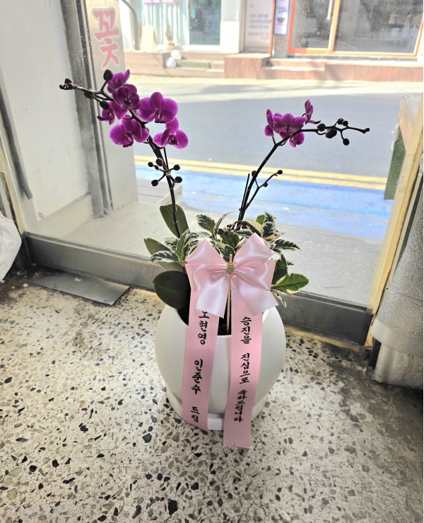 ������ ������ ���, ������ ������ ���� ���� ��ũ ȣ���� ��õȫ �ɹ�� ���� 