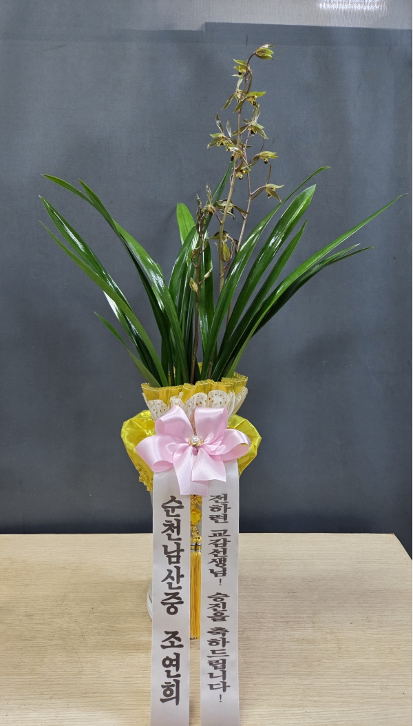 [�λ��̵� ��õ] �Ͼ���� �Ǿ�� ���� ����� �ɹ�� ���� 