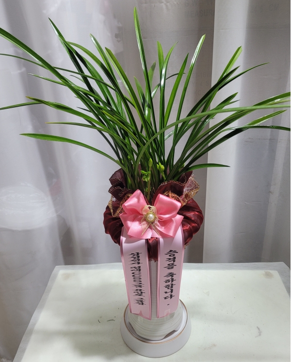 [�λ��̵� ��õ] ���� ���� �Ǿ��ִ� ����� �ɹ�� ���� 