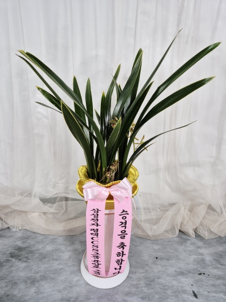 [�λ��̵� ��õ] ���� ���� �Ǿ��ִ� ����� �ɹ�� ���� 