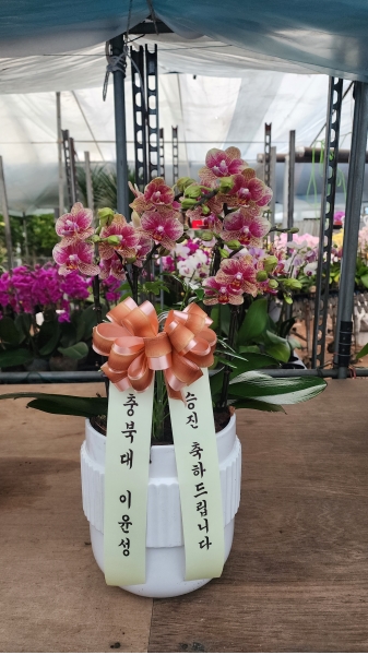 [����]�����ϴ� ���� ��� - ȣ���� ����� (��) (ȭ�⺯��) �ɹ�� ���� 