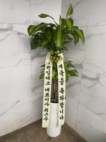 [ȭ�а�����õ] ���� �ɹ�� ���� 