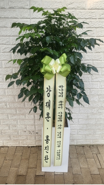 �������� ������õ - ���� �캸��A �ɹ�� ���� 