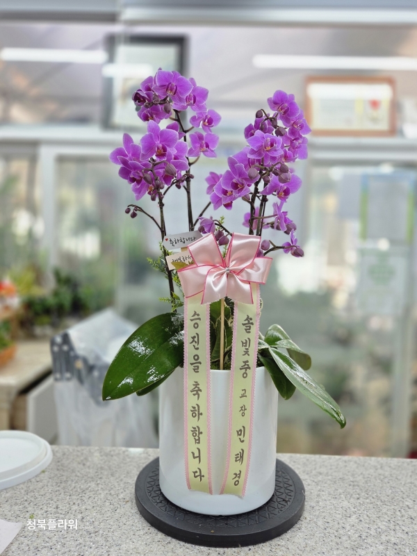 ������ ������ ���, ������ ������ ���� ���� ��ũ ȣ���� ��õȫ �ɹ�� ���� 