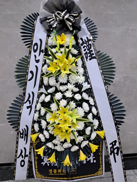 ������ ���� ���� 3�� ȭȯ �ɹ�� ���� 