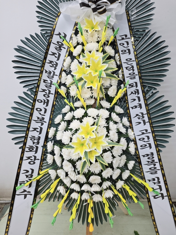 ���� �ֵ��� ���� ����ȭȯ �ɹ�� ���� 