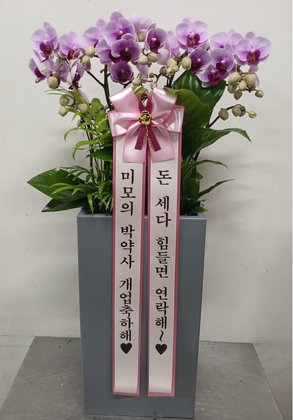 ������ ���� ���� -����ũȣ�� (��)