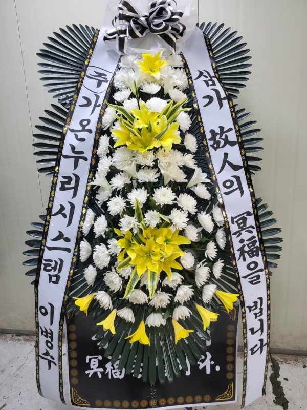 ������ ���� ���� 3�� ȭȯ �ɹ�� ���� 