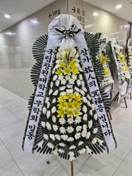 ���� �ֵ��� ���� ����ȭȯ �ɹ�� ���� 