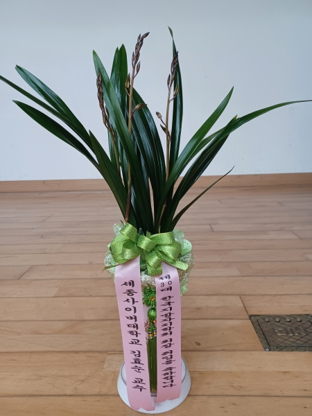 [�λ��̵� ��õ] ���� ���� �Ǿ��ִ� ����� �ɹ�� ���� 