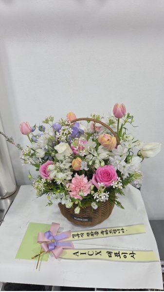 ������ �׸� �׸� �ɹ�� ���� 