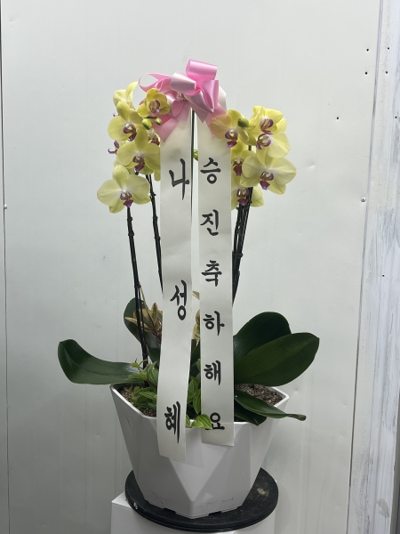 ������ ������ ���, ������ ������ ���� ���� ��� ȣ���� �ɹ�� ���� 