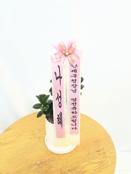 ����þ�(��) �ɹ�� ���� 