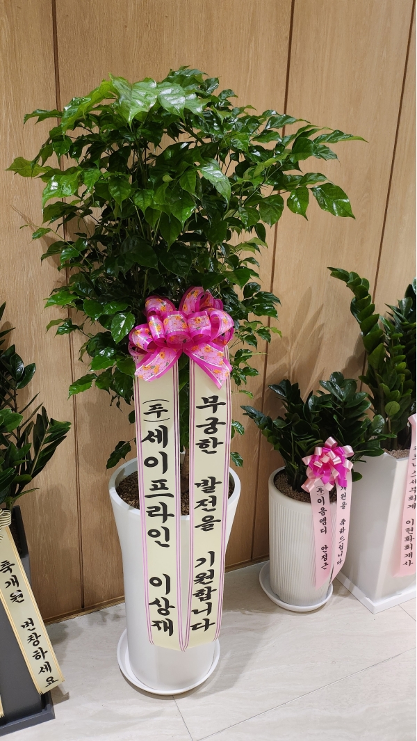 �������� �����ִ� ���׸��� �Ĺ� - �캸��(ȭ�⺯�氡��) �ɹ�� ���� 