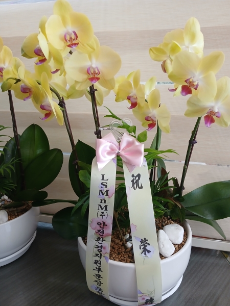 ������ ������ ���, ������ ������ ���� ���� ��� ȣ���� �ɹ�� ���� 